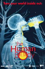 Человеческое тело трейлер (2001)
