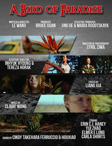 A Bird of Paradise (2017)