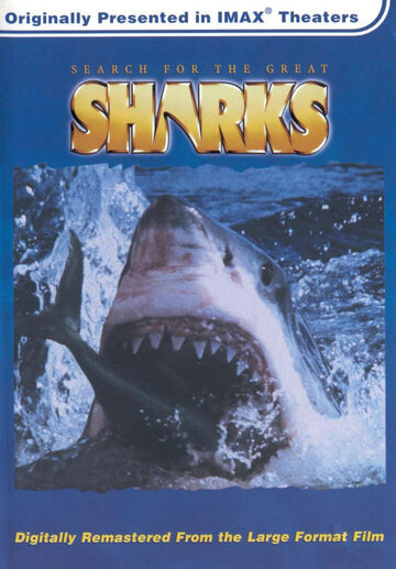 В поисках больших акул трейлер (1995)