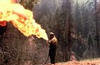 Wildfire: Feel the Heat трейлер (1999)