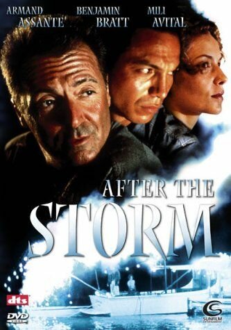 После шторма трейлер (2001)