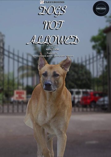 Dogs Not Allowed: A Silent Movie трейлер (2017)