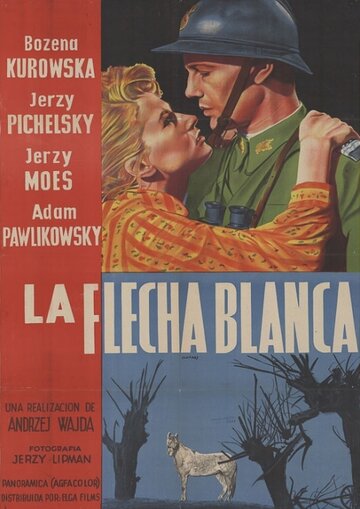 Летна трейлер (1959)