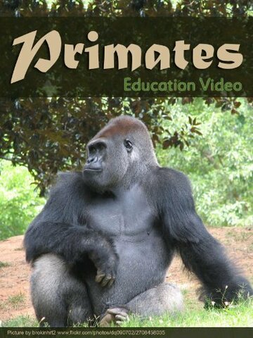 Primats трейлер (1997)