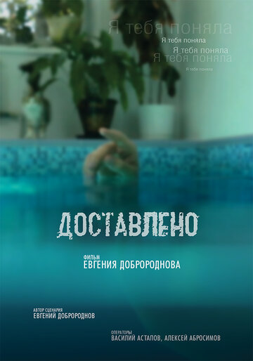 Доставлено (2017)