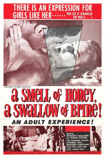 На запах – мед, на вкус – рассол трейлер (1966)