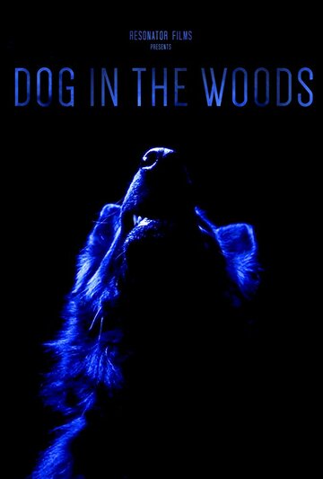 Dog in the Woods трейлер (2019)
