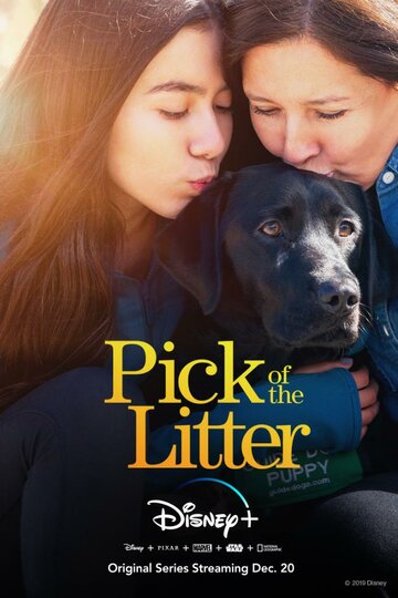 Pick of the Litter трейлер (2019)