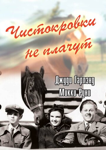 Чистокровки не плачут трейлер (1937)