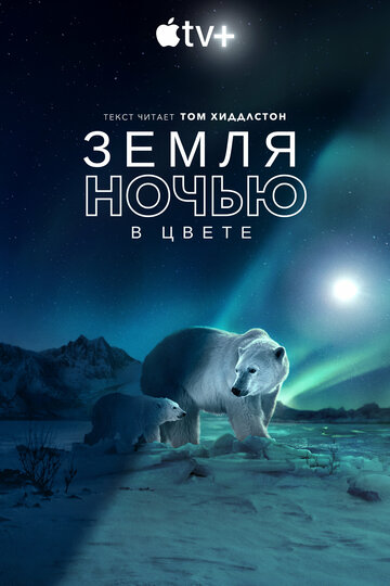 Земля ночью в цвете трейлер (2020)