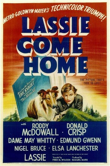 Лесси возвращается домой трейлер (1943)