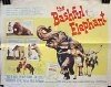The Bashful Elephant (1962)