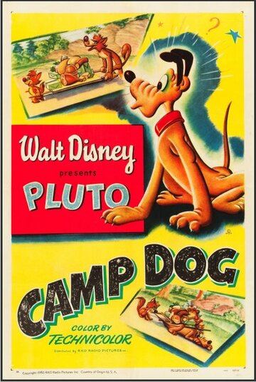 Camp Dog (1950)