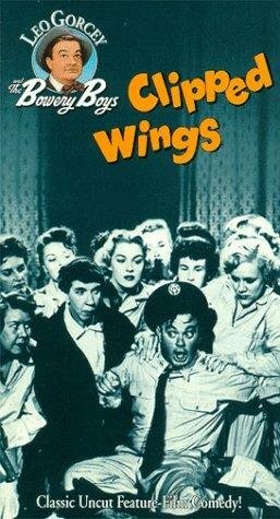 Clipped Wings трейлер (1953)