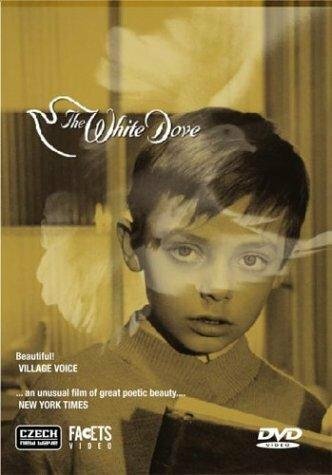 The White Dove трейлер (1920)