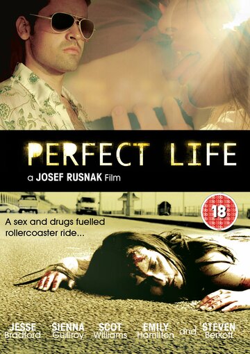 Идеальная жизнь трейлер (2010)
