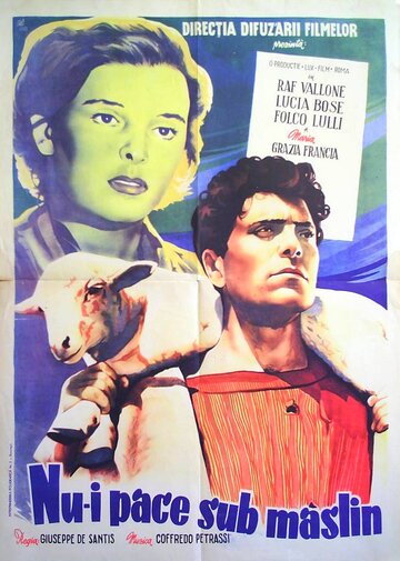 Нет мира под оливами трейлер (1950)