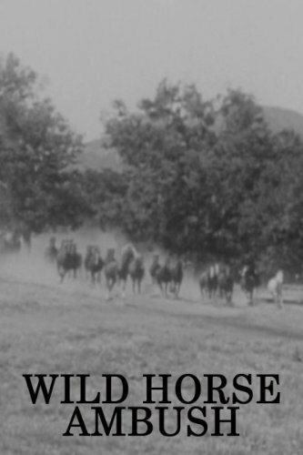 Wild Horse Ambush трейлер (1952)