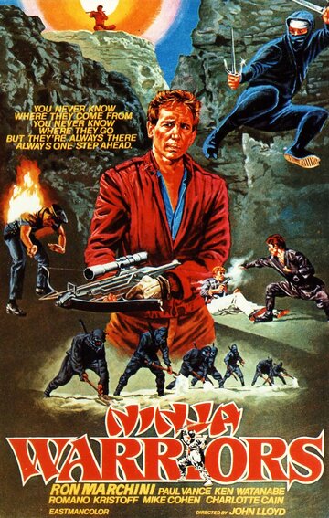 Ninja Warriors (1985)