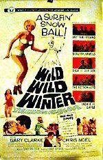 Wild Wild Winter трейлер (1966)