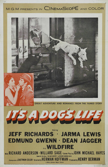It's a Dog's Life трейлер (1955)