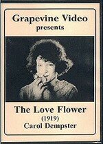Цветок любви трейлер (1920)