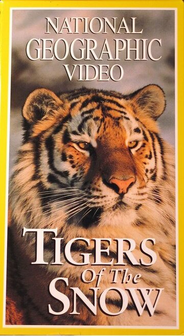НГО: Сибирские тигры трейлер (1997)
