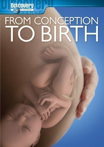 From Conception to Birth трейлер (2005)