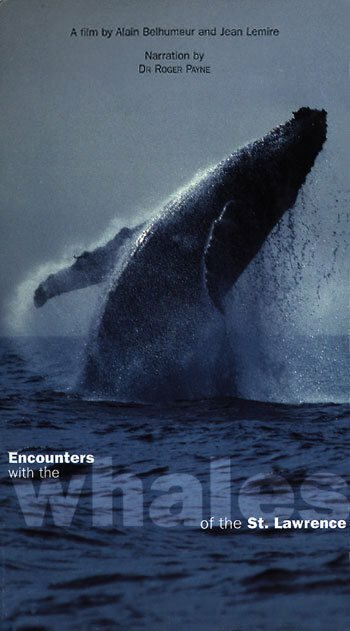 Rencontres avec les baleines du Saint-Laurent трейлер (1998)