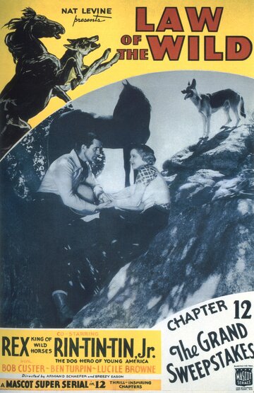Закон дикой природы трейлер (1934)