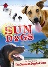 Sun Dogs (2006)