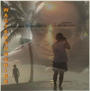 Wasted Sunshine (2006)