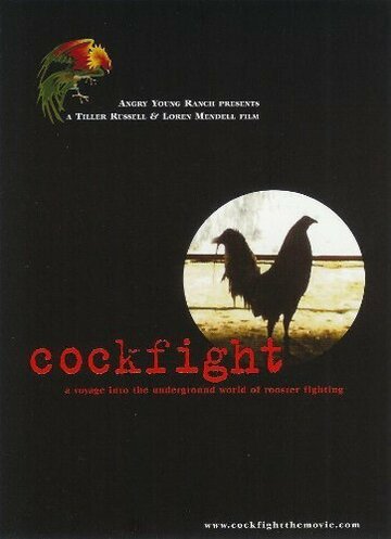 Cockfight трейлер (2001)