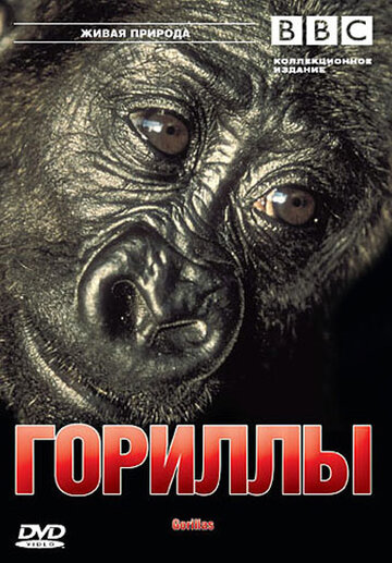 BBC: Гориллы 2002 трейлер (2002)