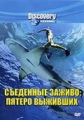 Discovery: Съеденные заживо. Пятеро выживших 2007 трейлер (2007)