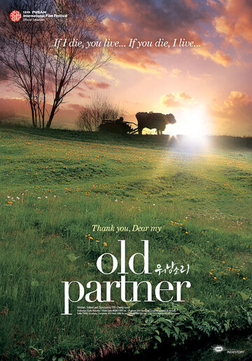 Старый партнер (2008)