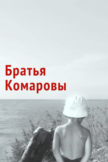 Братья Комаровы (1961)