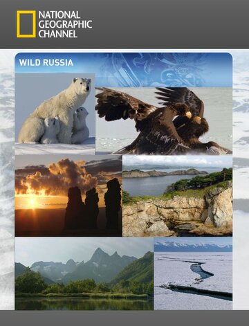 Дикая природа России трейлер (2008)