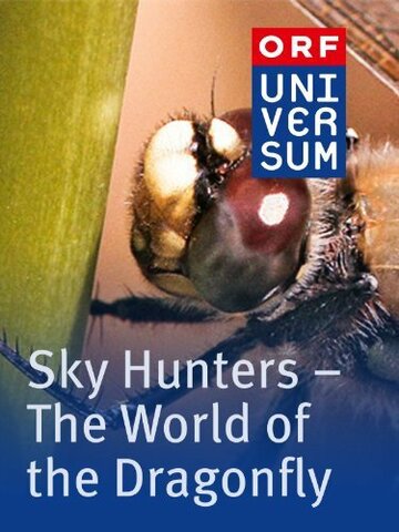 The Sky Hunters трейлер (1915)