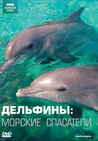 Дельфины: Морские спасатели трейлер (2008)