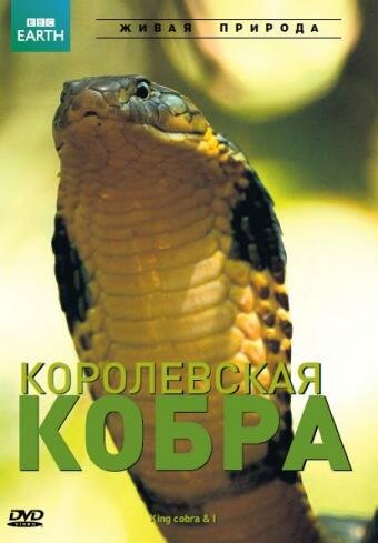 BBC: Королевская кобра (2005)