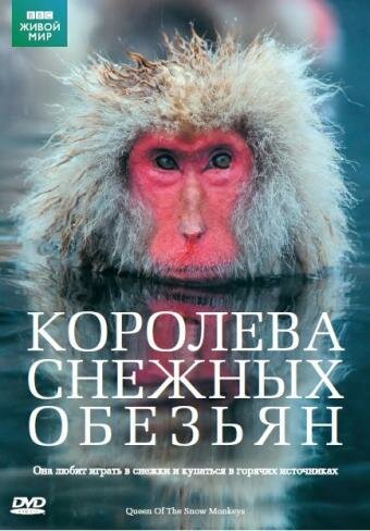 Королева снежных обезьян 2009 трейлер (2009)