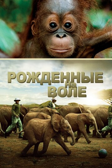 Рожденные на воле 2011 трейлер (2011)