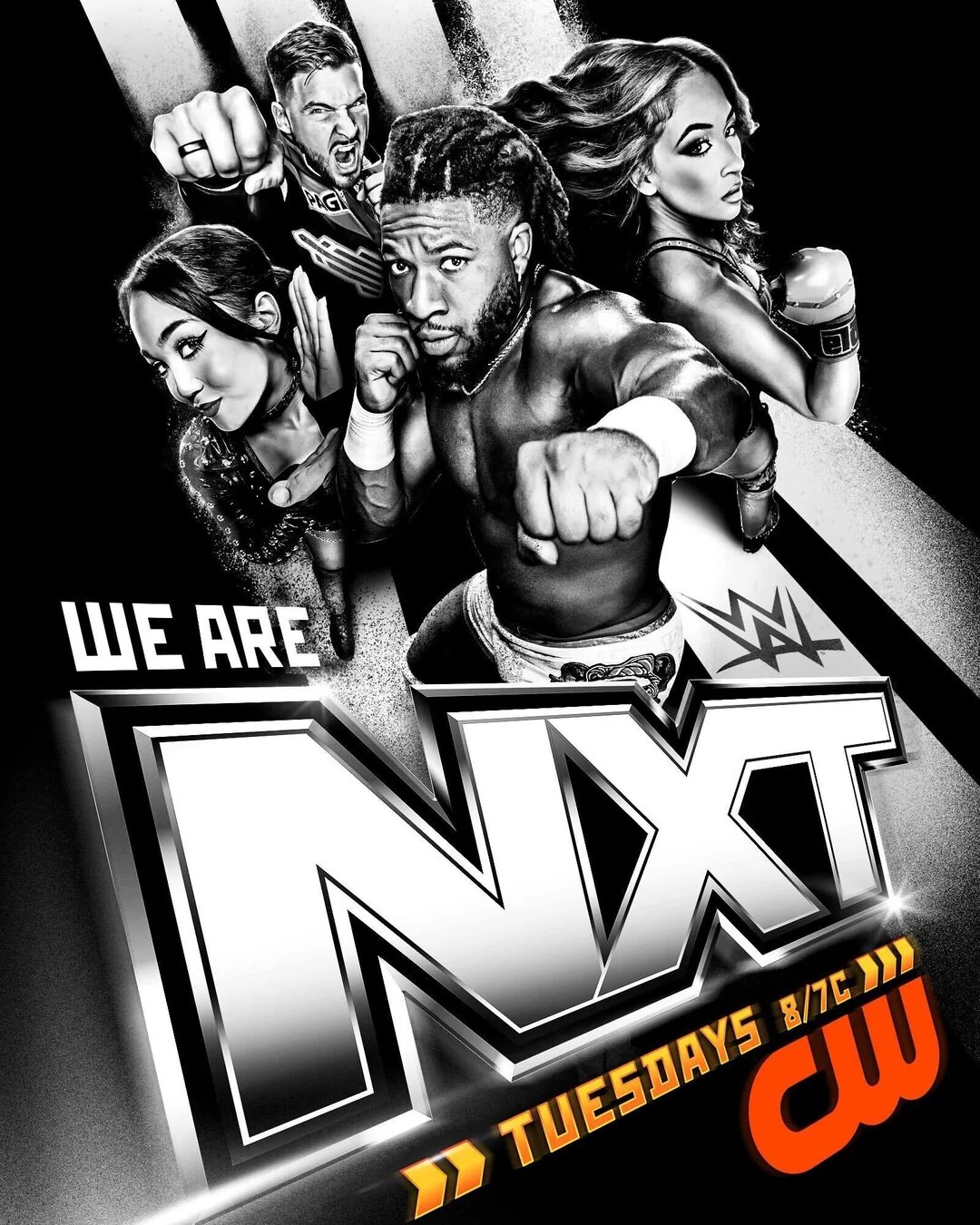 WWE NXT (2010)