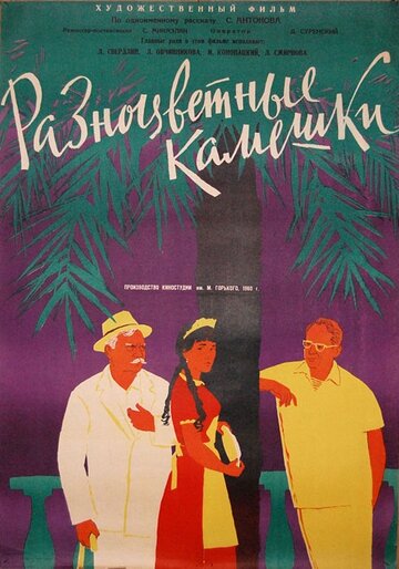 Разноцветные камешки (1960)