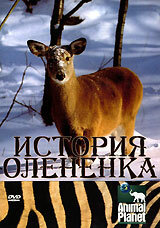 История олененка (2003)