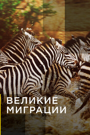 Великие миграции 2010 трейлер (2010)