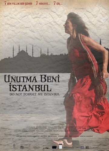 Не забывай меня, Стамбул (2011)