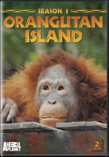 Остров орангутанов трейлер (2007)
