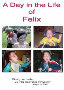 A Day in the Life of Felix